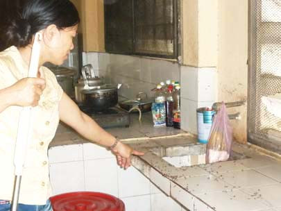 Đà Nẵng: Ruồi vây kín bữa ăn của người dân 