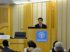 Việt Nam dự Phiên họp lần thứ 144 Hội đồng FAO