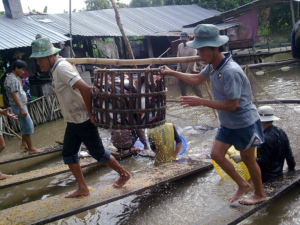 Ứng phó với các vụ kiện chống bán phá giá: Đừng để “nước đến chân mới nhảy”!