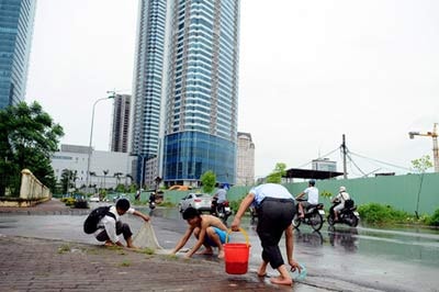 NÓNG 24h: Quăng lưới bắt cá giữa đường ở Keagnam