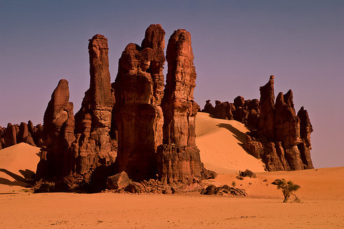 Khu vườn bí mật giữa lòng sa mạc Sahara