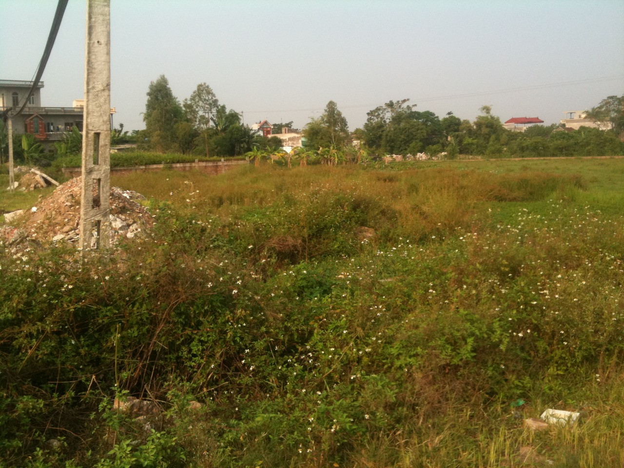 Vụ đấu giá đất không “sạch” ở huyện Nam Trực (Nam Định): Chủ tịch UBND huyện bị kiện ra Tòa