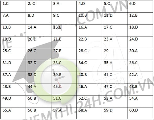 Gợi ý đáp án đề thi Đại học môn Vật lý năm 2013 khối A, A1 và V