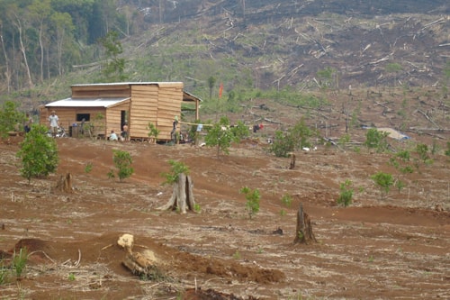 Băng nhóm đen lập 