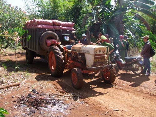 Băng nhóm đen lập 