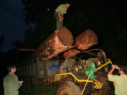 Băng nhóm đen lập 