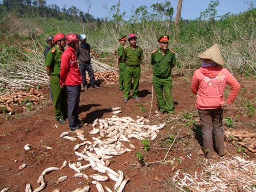 Băng nhóm đen lập 