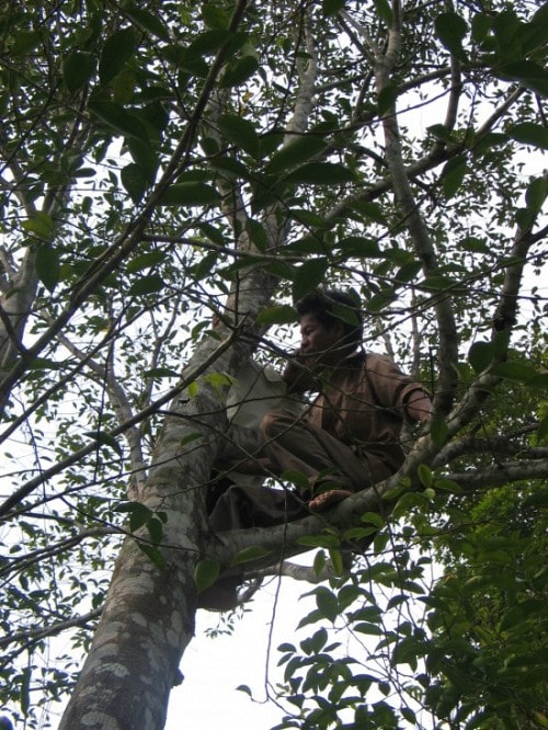 Nhọc nhằn những kiếp phu trầm