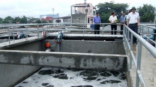 Dung túng hay bảo kê? 