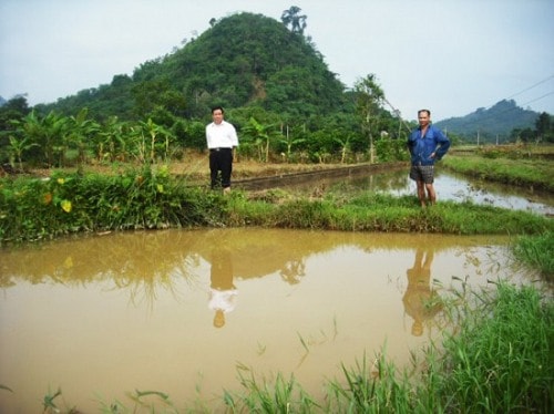 Huyền thoại  vàng ở “vùng đất vàng”