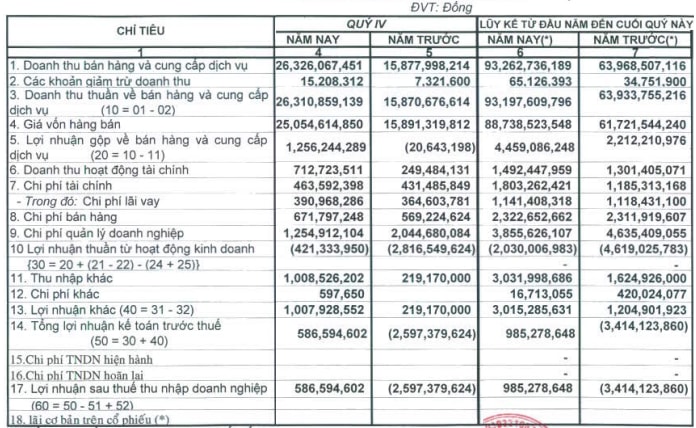 DTT: Năm 2013 thoát lỗ nhờ thu nhập khác