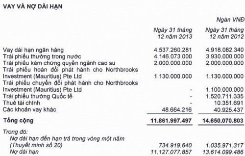 HAG: Lãi ròng hơn 900 tỷ đồng, nợ phải trả 16,000 tỷ đồng và vốn chủ sở hữu 13,000 tỷ đồng