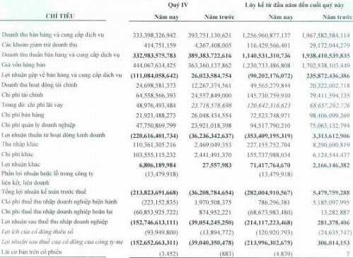 HLG: Lỗ nặng 214 tỷ đồng kể từ năm 2007