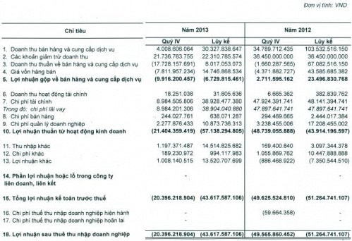 Nhà Việt Nam: Lỗ gần 44 tỷ đồng trong năm 2013