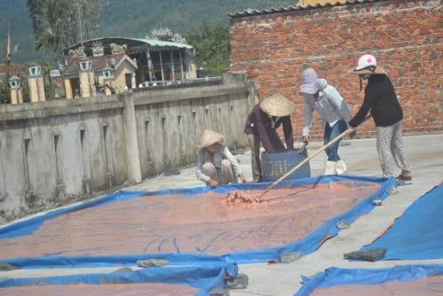 Văn hóa làng biển và những trăn trở buồn - vui