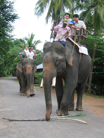 Ngày mai diễn ra lễ hội đua voi ở Đắk Lắk