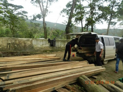 Dùng xe biển số xanh để vận chuyển gỗ lậu