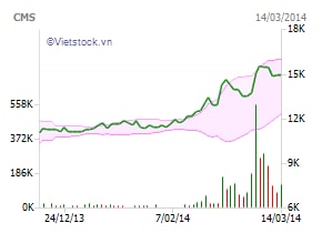 CMS: Phát hành 3 triệu cp với giá 10,000 đồng/cp