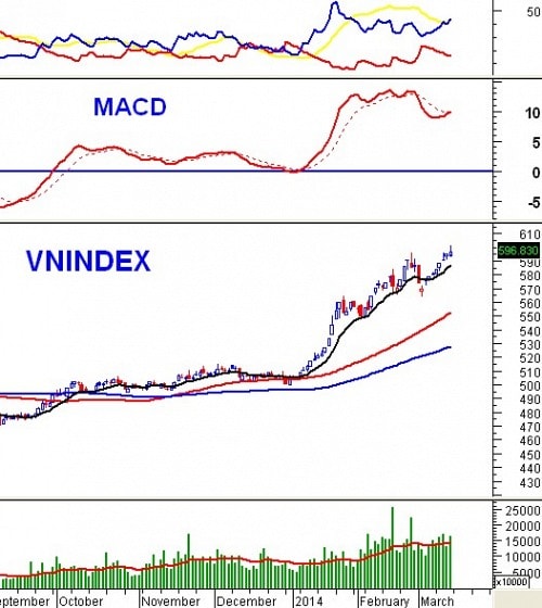 Vietstock Weekly 17 - 21/03: Dòng tiền sẽ tiếp tục xoay vòng?