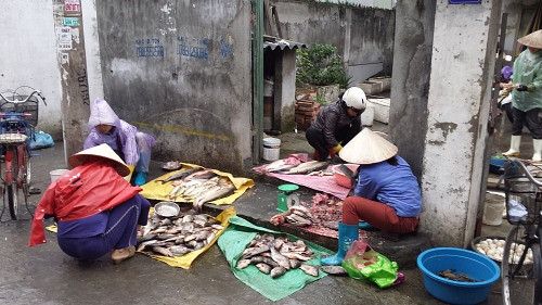 Hải Phòng: Báo động tình trạng mất vệ sinh an toàn thực phẩm tại các “chợ cóc”