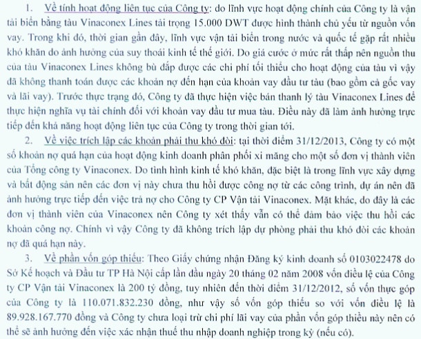 VCV: Kiểm toán nghi ngờ khả năng hoạt động liên tục