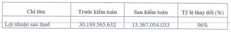 SJE: Sau kiểm toán lãi ròng bốc hơi một nửa do sáp nhập Sinco