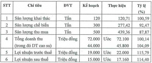 HRC: Lãi quý 1 ước đạt 17 tỷ đồng