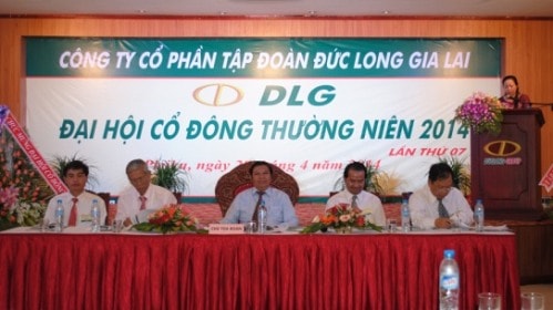 ĐHĐCĐ DLG: Kế hoạch lãi 2014 gấp 54 lần 2013 là khả thi