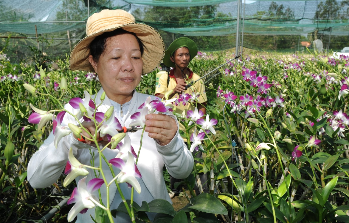 TP. Hồ Chí Minh: Điểm sáng về tấm lòng nhân ái