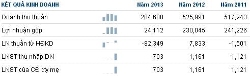 GTT: 3 năm liền thực hiện 1% kế hoạch lãi, cổ đông vẫn không ý kiến