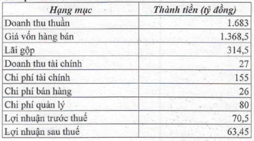 TTF: Phát hành 31 triệu cp để giảm nợ vay và 25 triệu cp cho NĐT ngoại