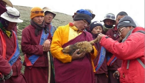 Đức Pháp Vương Gyalwang Drukpa, dai le Phat dan 2014, Đức Nhiếp Chính Vương Gyalwa Dokhampa, Vesak 2014