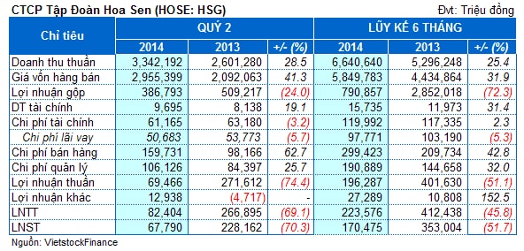 HSG: Lãi ròng lũy kế 6 tháng đạt 170 tỷ đồng, chỉ bằng 28% kế hoạch