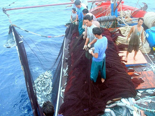 Thanh Hóa: Ngư dân quyết tâm bám biển