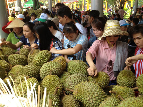 Khu du lịch văn hóa Suối Tiên: Sắc màu lễ hội trái cây Nam bộ 2014