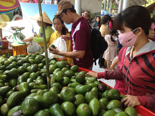 Khu du lịch văn hóa Suối Tiên: Sắc màu lễ hội trái cây Nam bộ 2014
