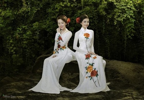 ntk thuan viet, thuan viet, ao dai thuan viet, ao dai moi, nhung canh hong lyon