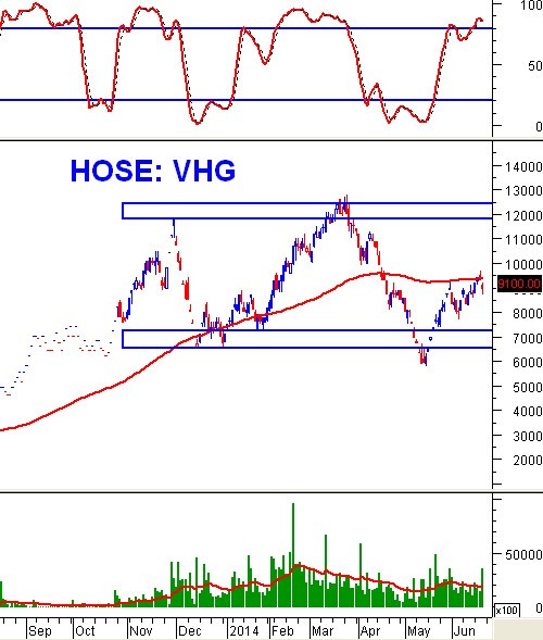 Phân tích kỹ thuật cổ phiếu ”nóng”: VHG - CTCP Đầu tư và Sản xuất Việt Hàn