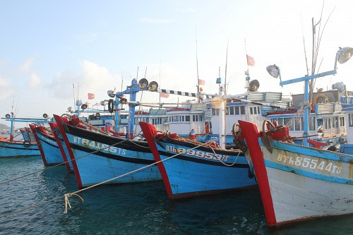 Ngư dân được vay đến 95% vốn đóng mới tàu khai thác hải sản 