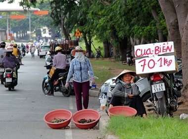 hai san gia re, cua ca mau,muc tuoi, muc sui bot, muc kho, hai san ban, hai san la