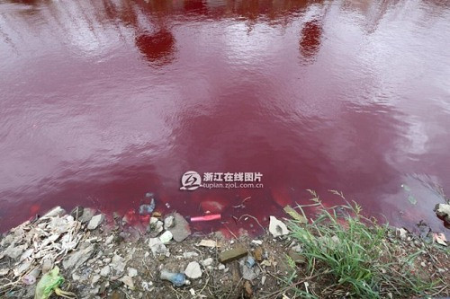 Kinh hãi dòng sông ở Trung Quốc chuyển thành màu đỏ như máu