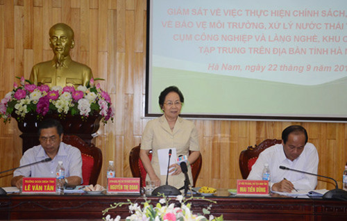Phó Chủ tịch nước Nguyễn Thị Doan tiếp xúc cử tri Hà Nam