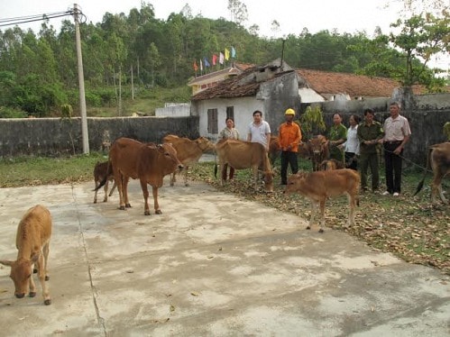 Nghệ An: Hàng loạt “đầu cơ nghiệp