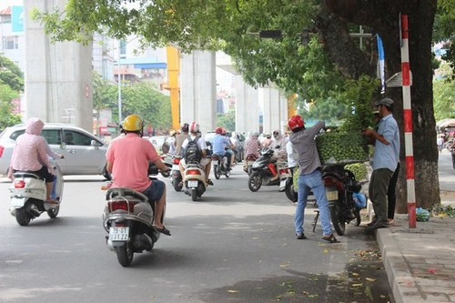 Hoạt động buôn bán diễn ra tấp nập dưới lòng đường Nguyễn Trãi