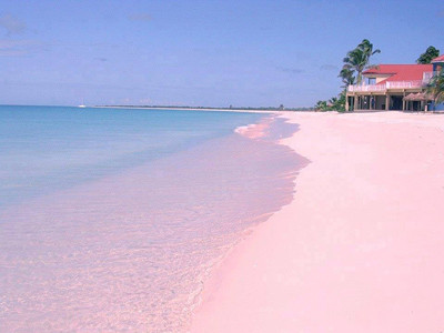 Chiêm ngưỡng bãi biển màu hồng độc đáo nhất thế giới
