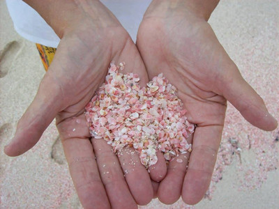 Chiêm ngưỡng bãi biển màu hồng độc đáo nhất thế giới