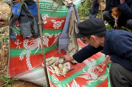 Lễ cúng ma khô của người Mông ở Hà Giang