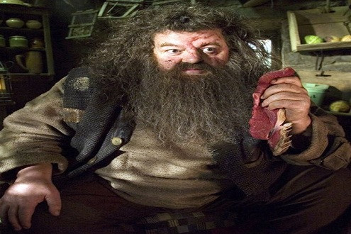 Tác giả Harry Potter dự định xây dựng chòi của lão Hagrid trong vườn 