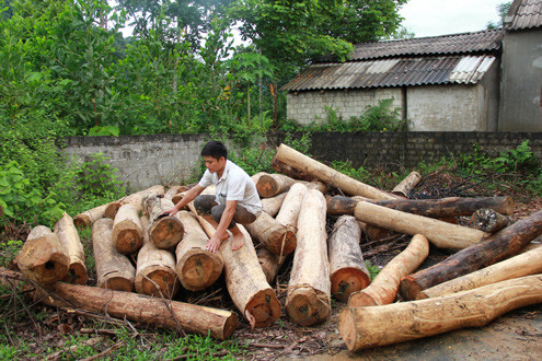 Thanh Hóa: Cán bộ và dân nhận trách nhiệm về việc phá rừng