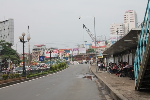 Hà Nội: Hàng loạt cây cổ thụ trăm tuổi nguy cơ bị “khai tử”